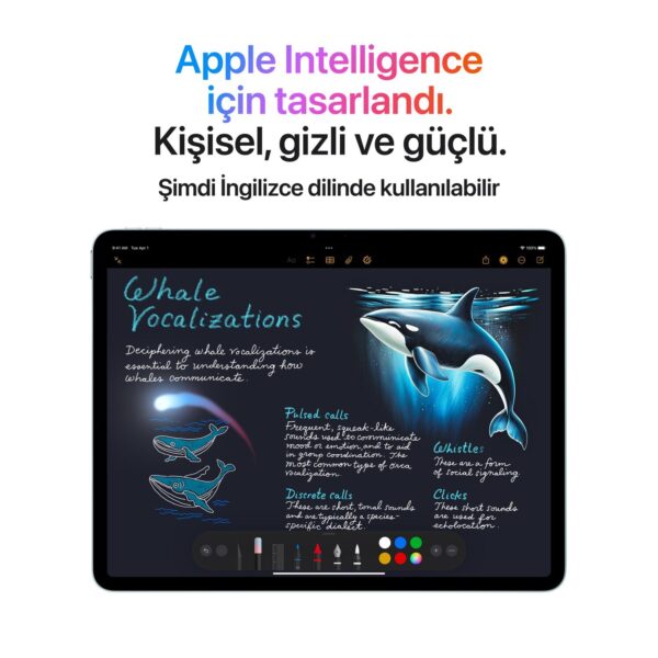 Apple 11 inç iPad Air M3