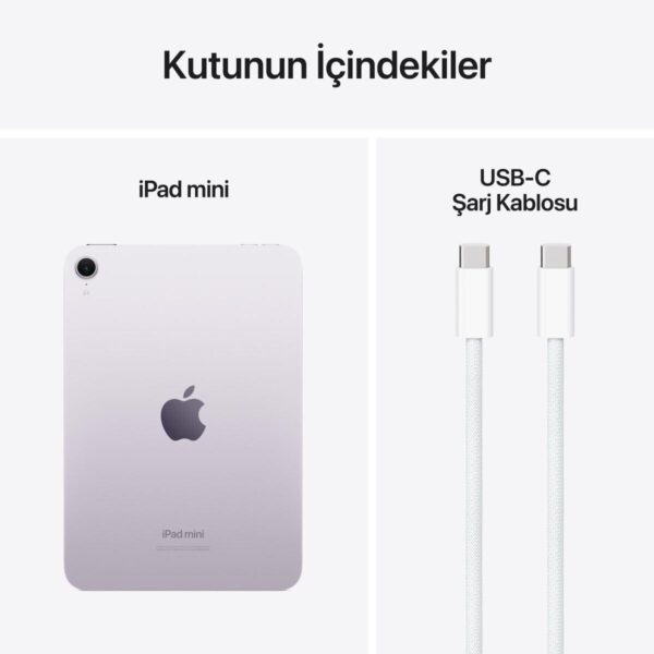 Apple iPad Mini