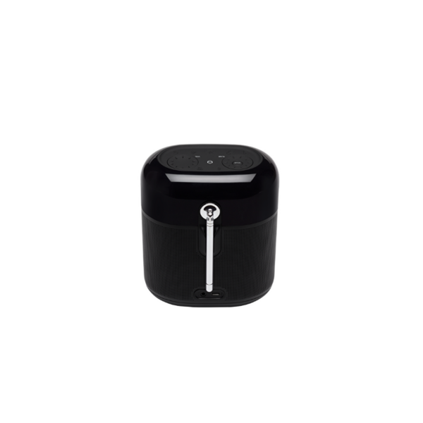 JBL Tuner XL Bluetooth Taşınabilir Hoparlör ve DAB/FM Radyo IPX7 – Siyah